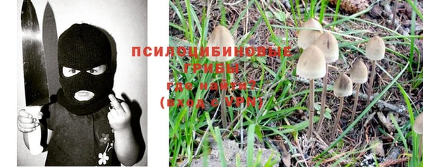 mix Богородск