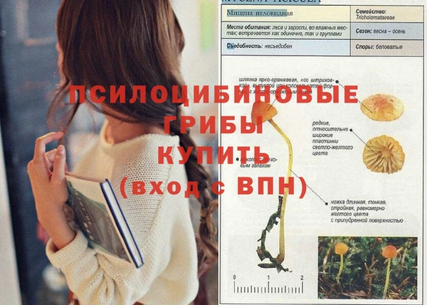 а пвп мука Богданович