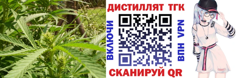 Дистиллят ТГК концентрат  закладки  Новосибирск 