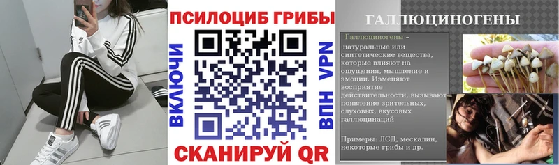 Галлюциногенные грибы Cubensis  Новосибирск 